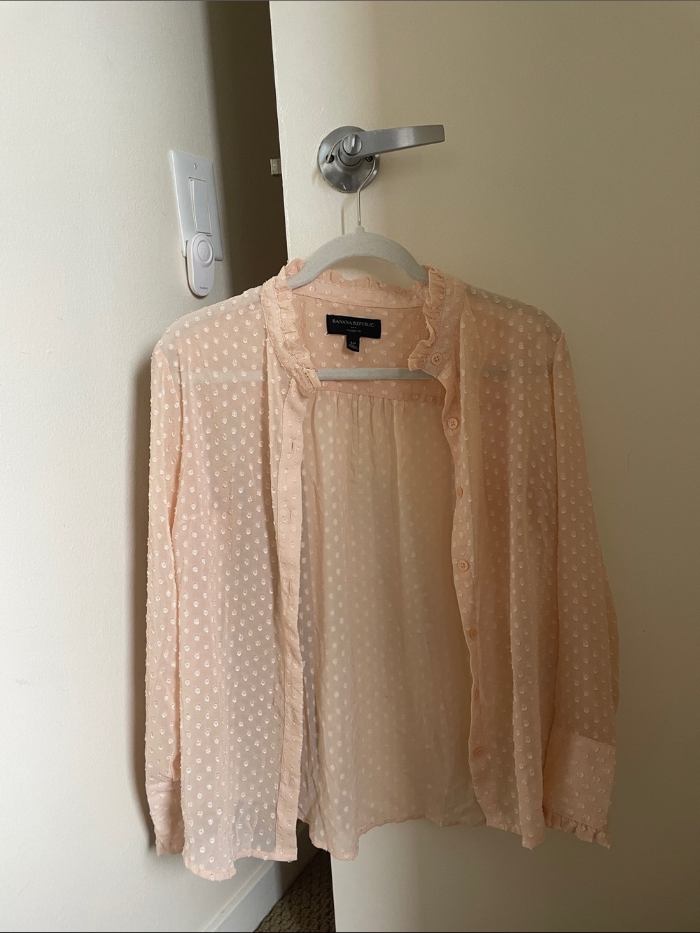 Banana Republic Sheer Pink Dot Blouse
